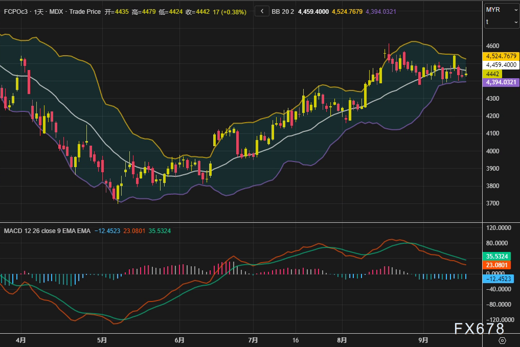 棕榈油反弹能否延续?目光已转向孟买的讲台与季风的方向(图2) 棕榈油反弹能否延续?目光已转向孟买的讲台与季风的方向(图2)