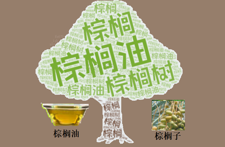德璞分析天气扰动趋弱棕榈油市场重归基本面